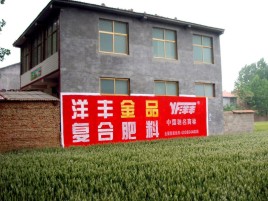 当涂如何让墙体广告展现最大化效果