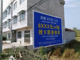 当涂墙体广告质量分析